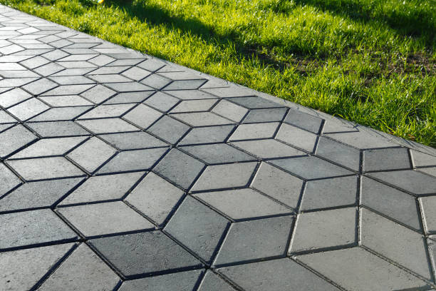 Best Driveway Pavers Near Me  in Wilsons Mills, NC