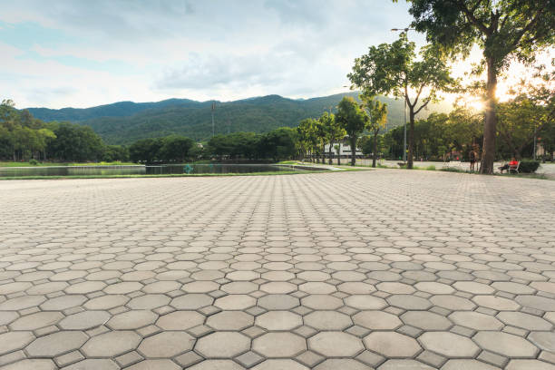 Best Cobblestone Driveway Pavers  in Wilsons Mills, NC