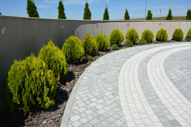 Best Driveway Resurfacing Pavers  in Wilsons Mills, NC